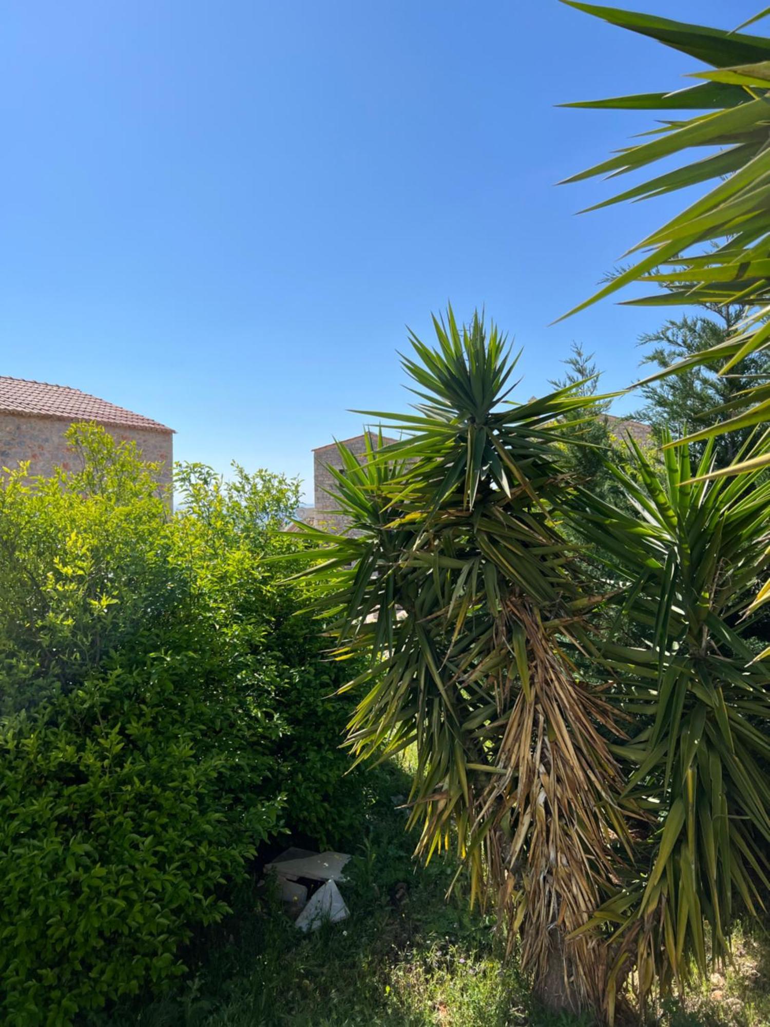 Koukouri Village Kafiona Bagian luar foto