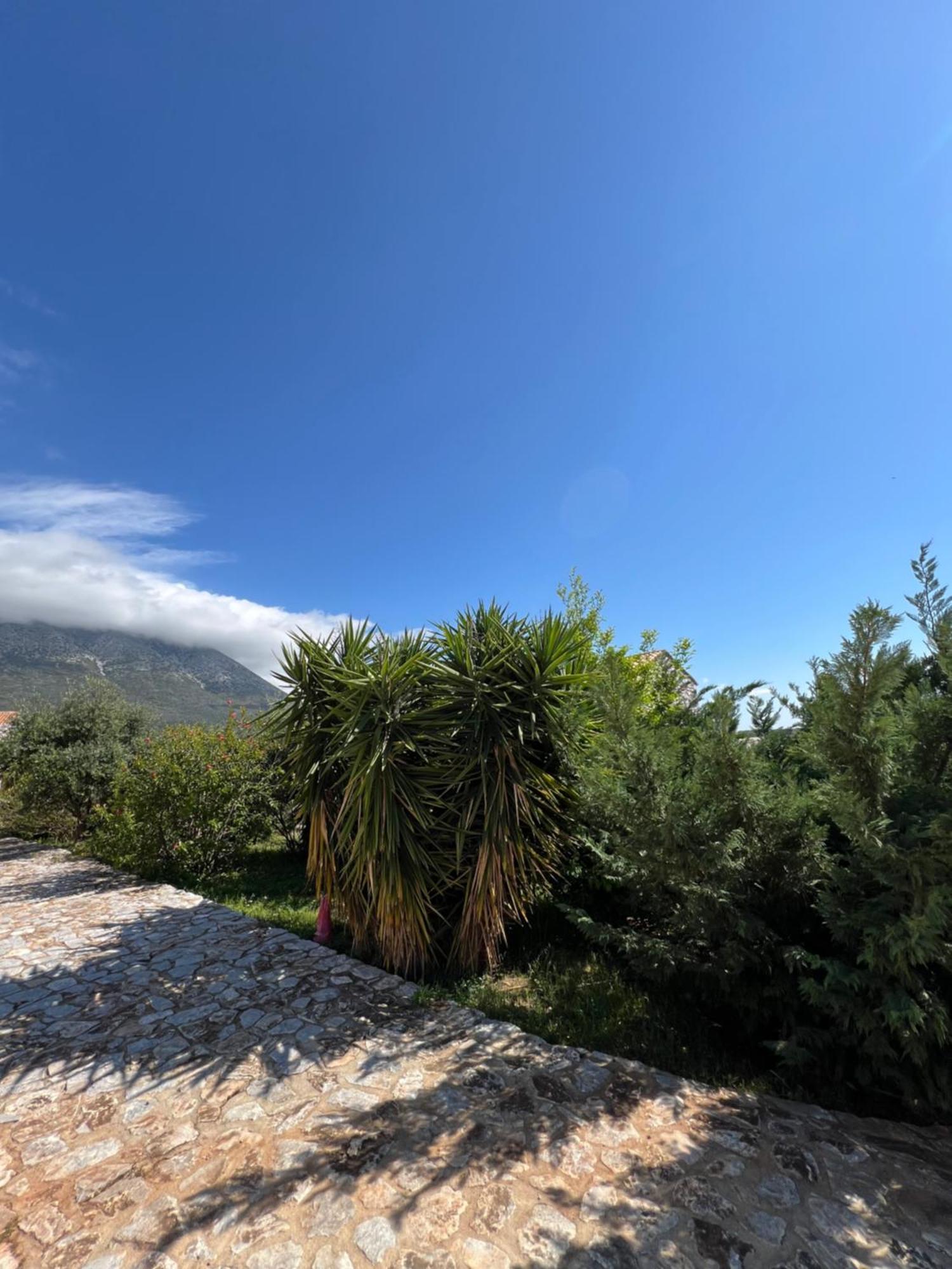 Koukouri Village Kafiona Bagian luar foto