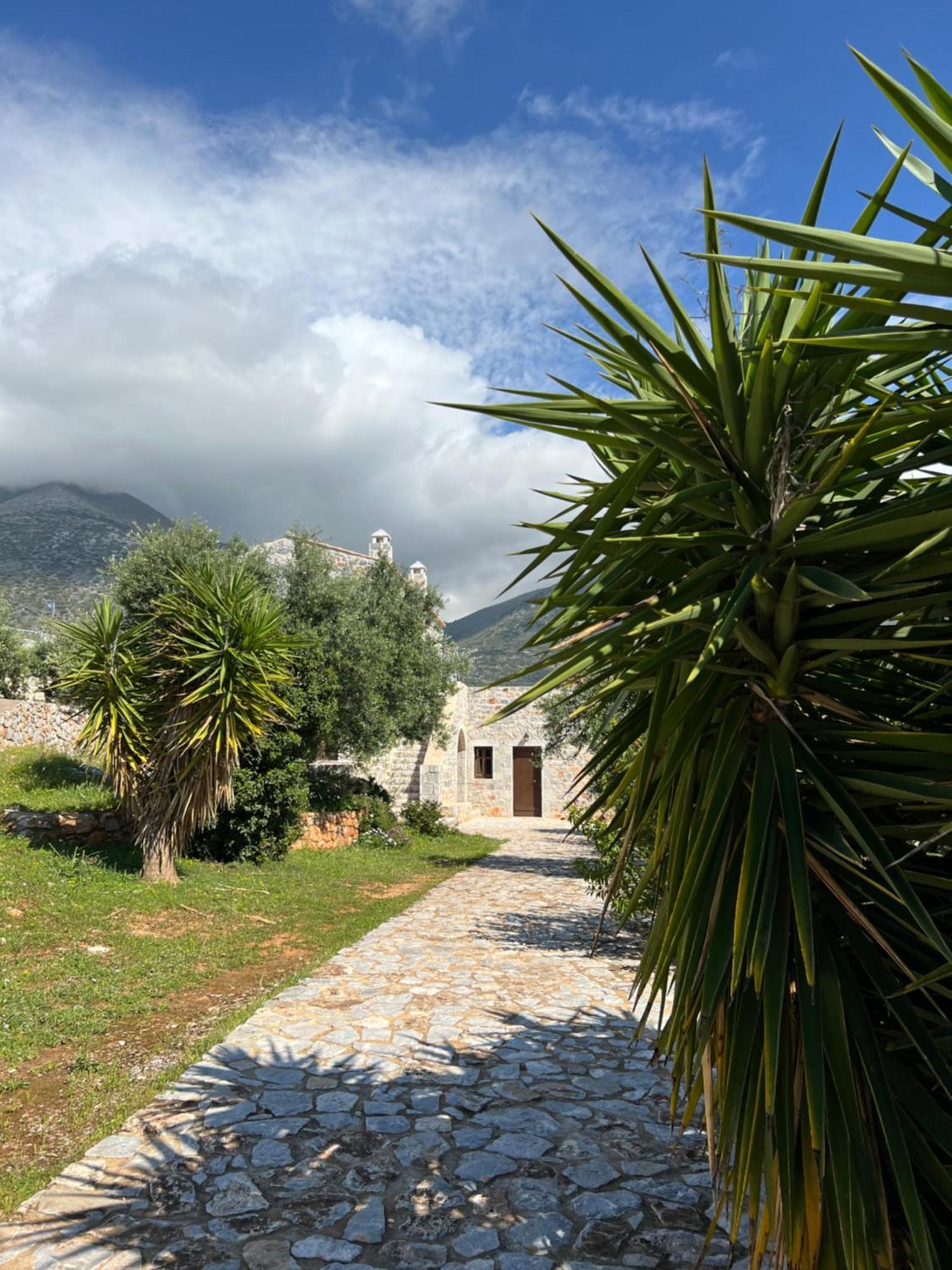 Koukouri Village Kafiona Bagian luar foto