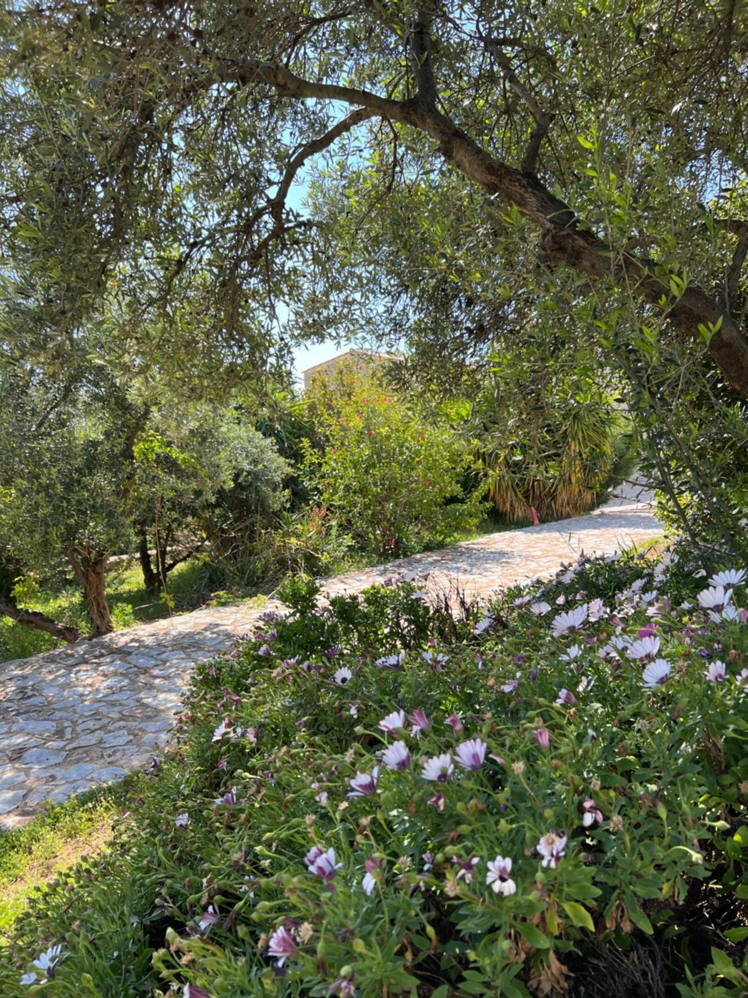 Koukouri Village Kafiona Bagian luar foto